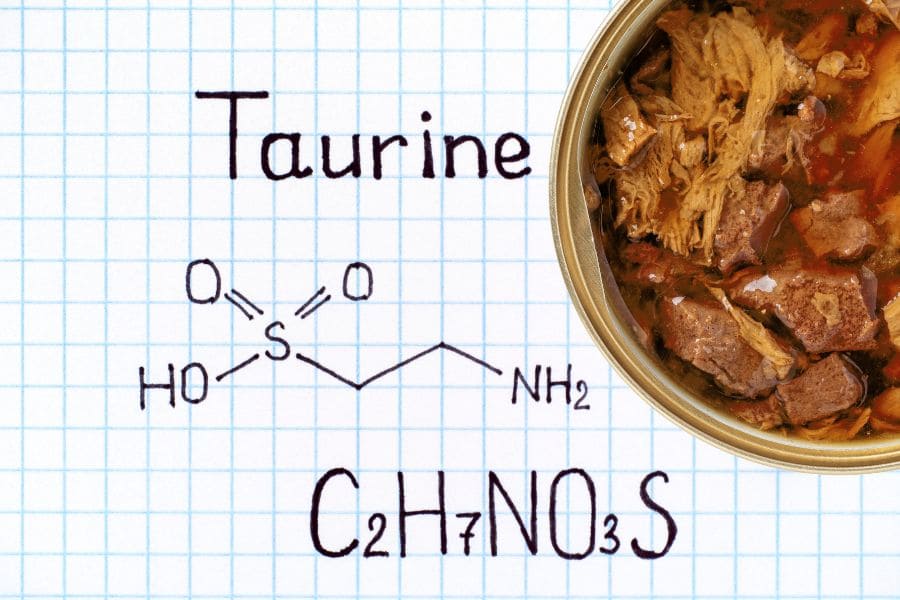 Таурин в корме для кошек 