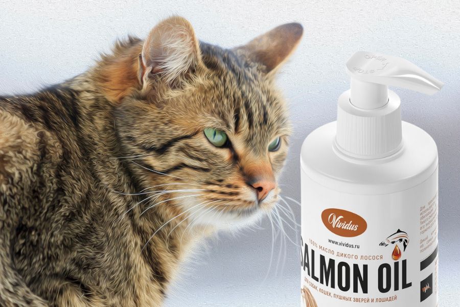 Лососевое масло для кошек