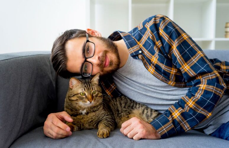 Понимают ли кошки человеческую речь?